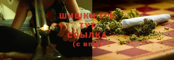 мяу мяу мука Магадан