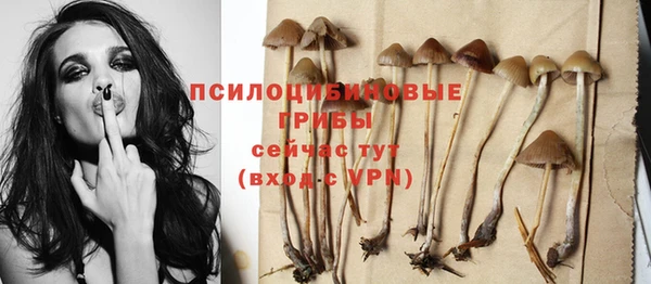первитин Медвежьегорск