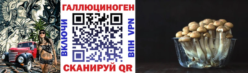 блэк спрут ТОР  Навашино  Псилоцибиновые грибы мицелий  наркотики 